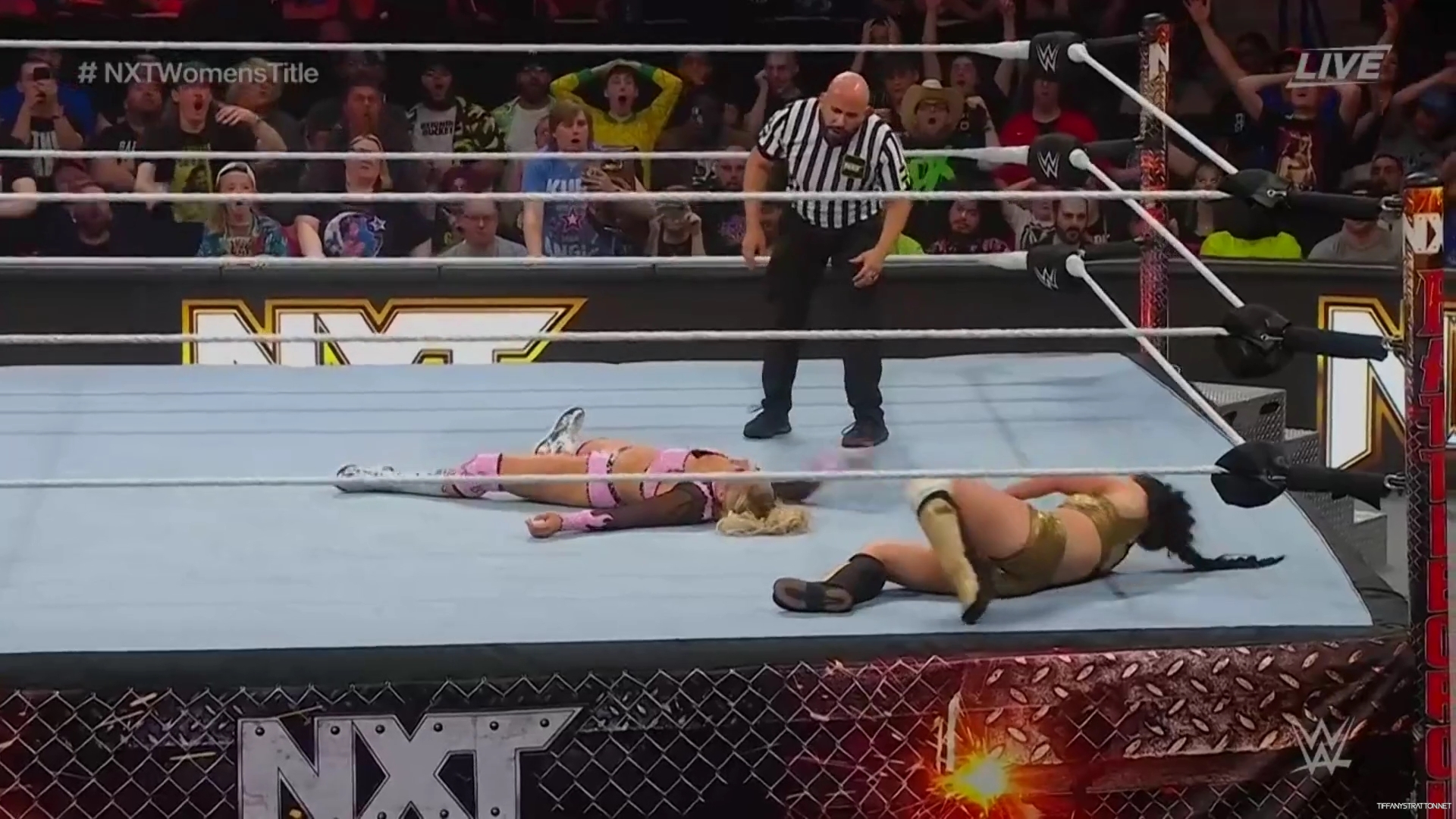 WWE_NXT_Battleground_2023_1080p_WEB_h264-SPORTSNET_mkv1104.jpg