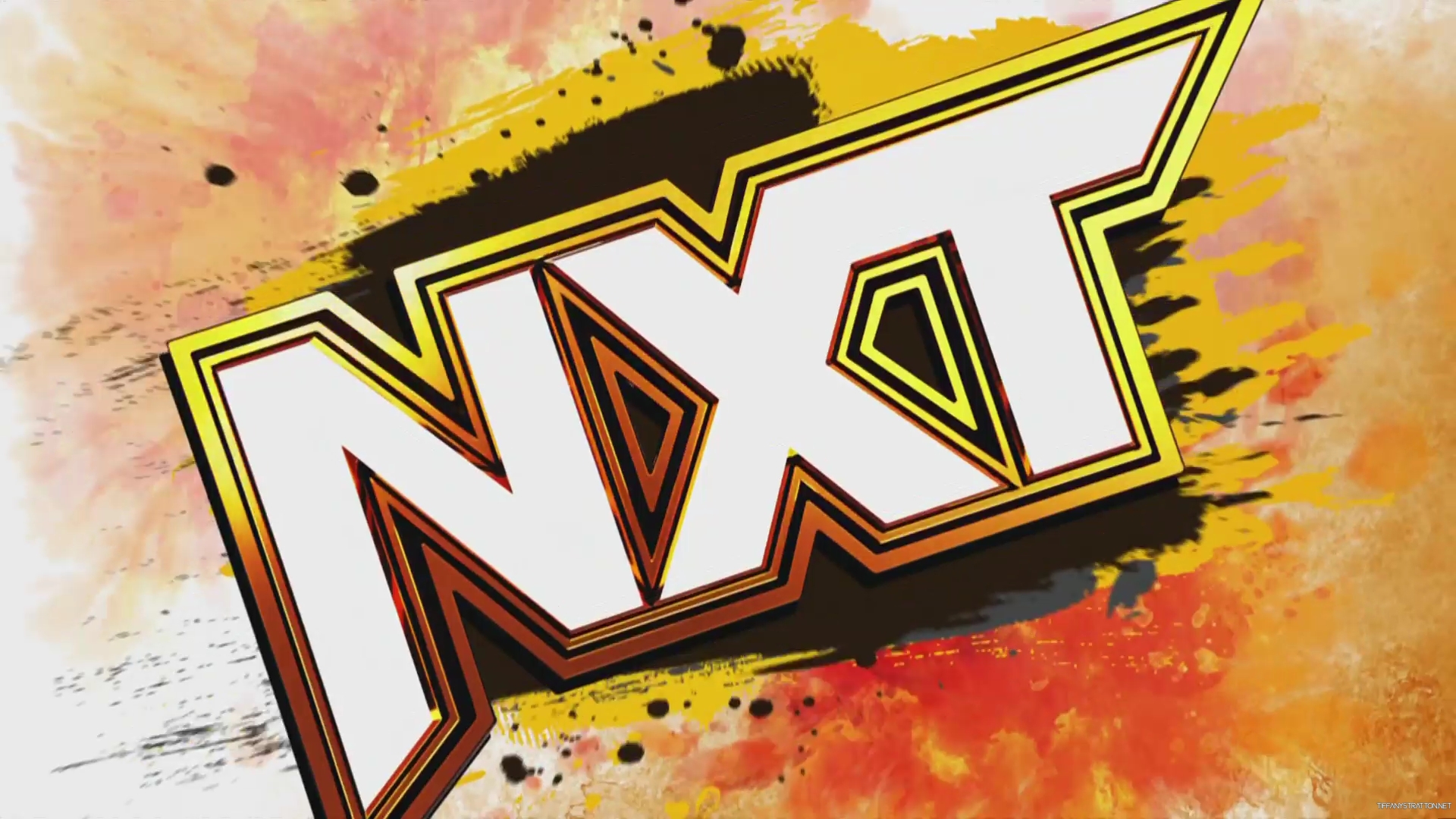 WWE_NXT_2024_01_09_USAN_1080p_WEB_h264-HEEL_mkv0125.jpg