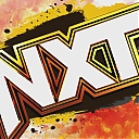 WWE_NXT_2024_01_09_USAN_1080p_WEB_h264-HEEL_mkv0125.jpg