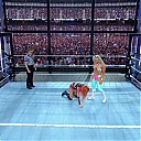 WWE_Elimination_Chamber_2024_1080p_HDTV_h264-Star_mp40344.jpg