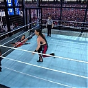 WWE_Elimination_Chamber_2024_1080p_HDTV_h264-Star_mp40830.jpg