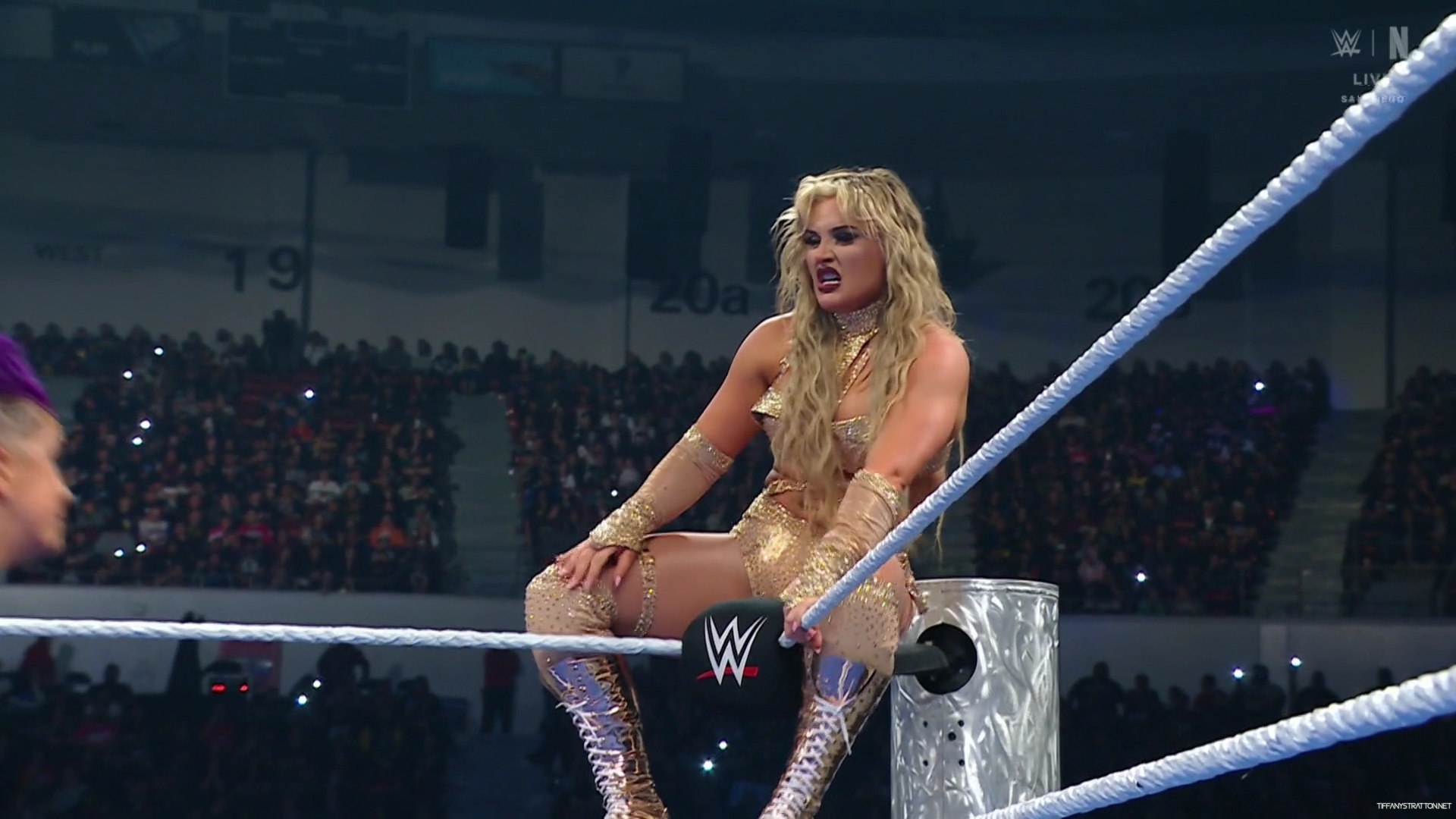 WWE_Friday_Night_SmackDown_2025_01_17_1080p_NETFLiX_h264-Star_mp41109.jpg
