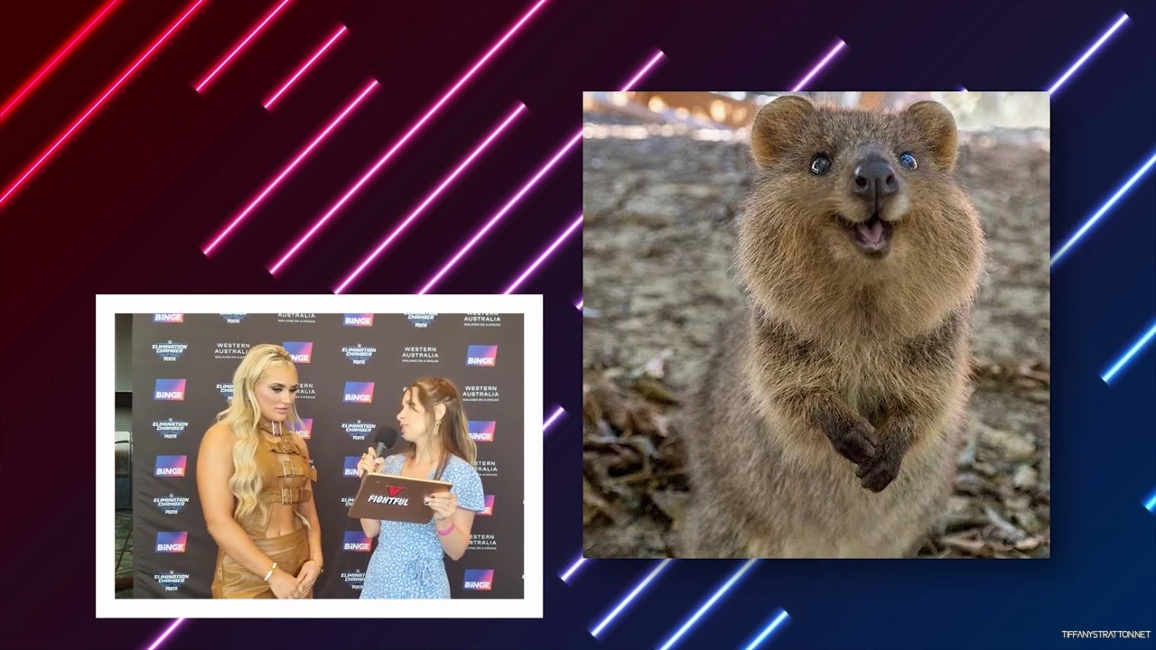 x2mate_com-Tiffany_Stratton__Love_Island_Australia2C_WWE_Elimination_Chamber2C_Australia_Animal_TEST_mp40151.jpg
