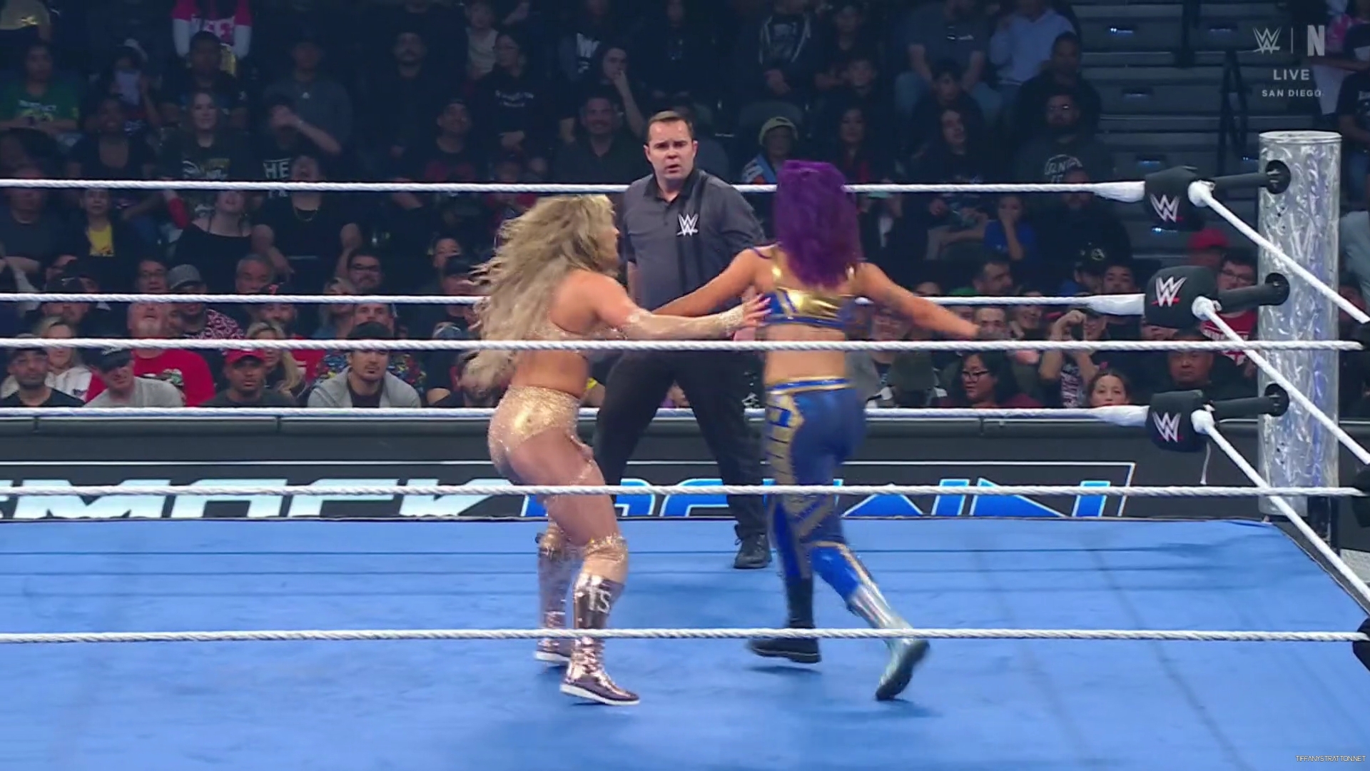 WWE_Friday_Night_SmackDown_2025_01_17_1080p_NETFLiX_h264-Star_mp40723.jpg