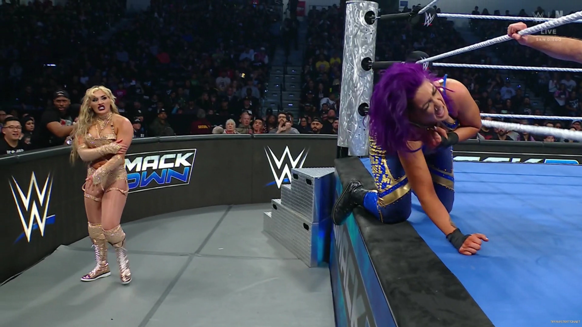 WWE_Friday_Night_SmackDown_2025_01_17_1080p_NETFLiX_h264-Star_mp40743.jpg