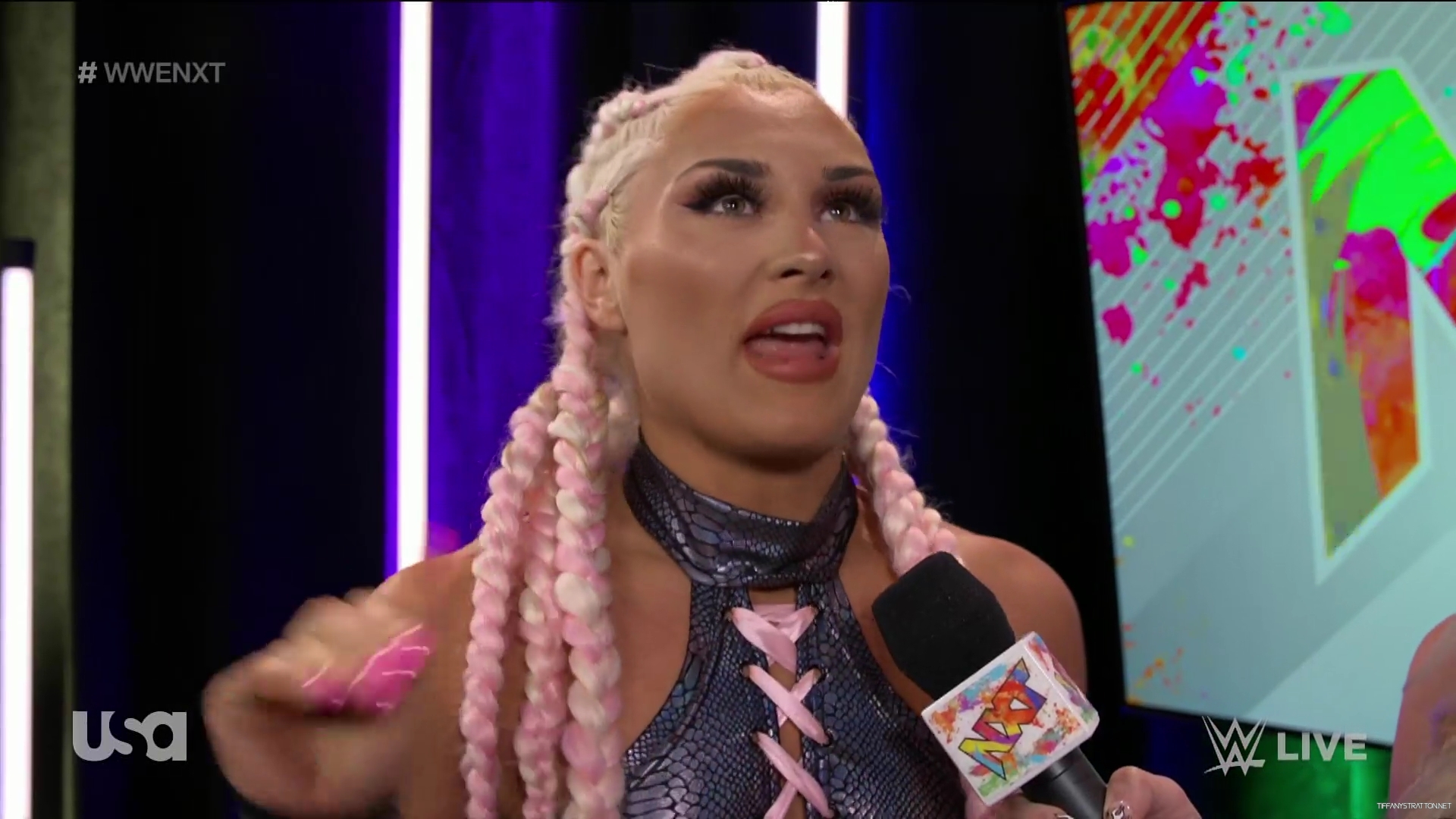 WWE_NXT_2022_08_23_USAN_1080p_WEB_h264-HEEL_mkv0031.jpg
